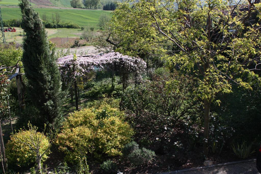 B&B La Casetta Villaromagnano Eksteriør bilde